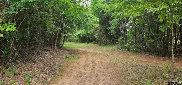 TBD VZ County Road 4814 - 22.5+/- AC, Ben Wheeler, TX 75754