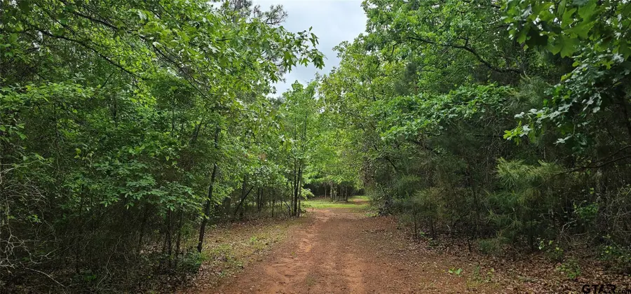 TBD VZ County Road 4814 - 22.5+/- AC, Ben Wheeler, TX 75754 - #3