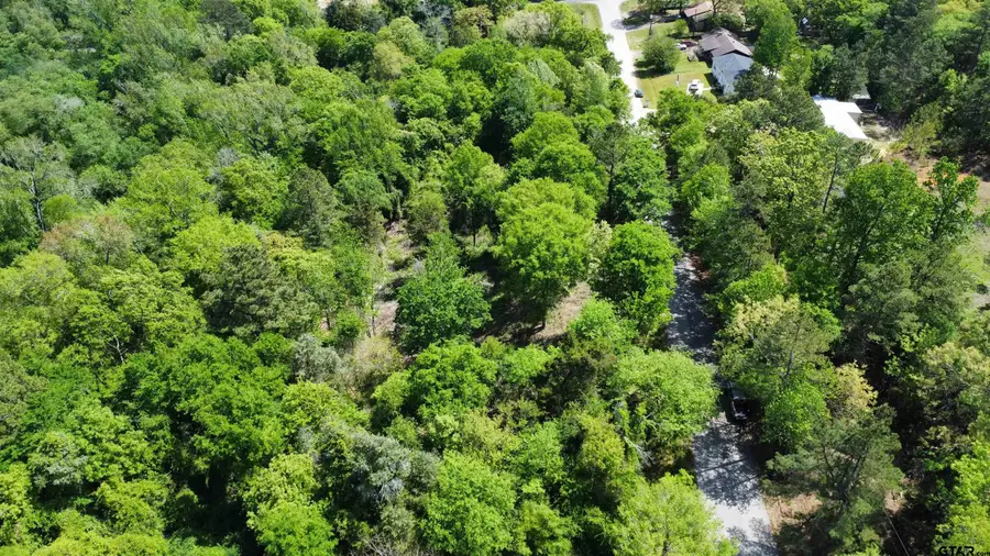 13908 County Road 1250, Tyler, TX 75709 - #3