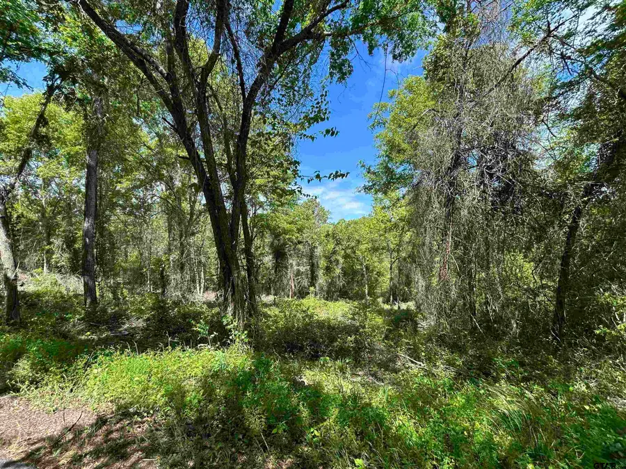 13912 Country Road 1250, Tyler, TX 75709 - #2