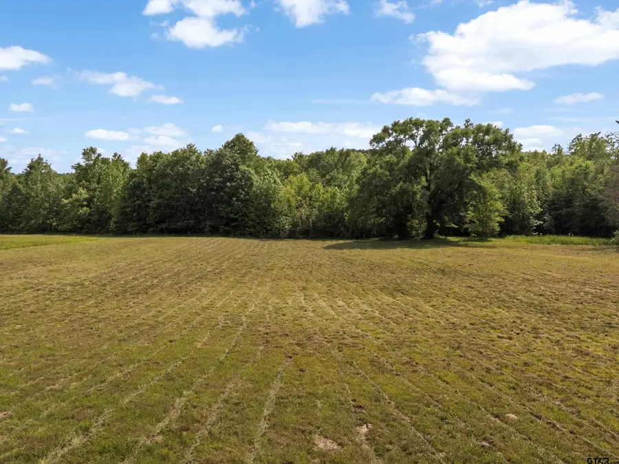 67 Acres S Live Oak Rd, Gilmer, TX 75644 - #2