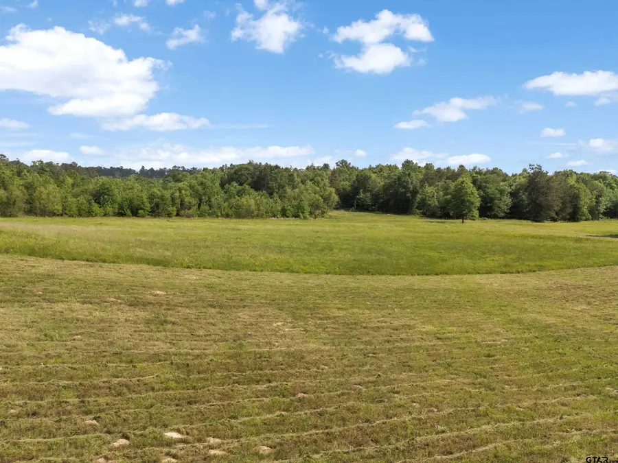 67 Acres S Live Oak Rd, Gilmer, TX 75644 - #3