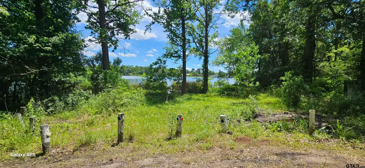 TBD Cr 2290, Mineola, TX 75773 - #1