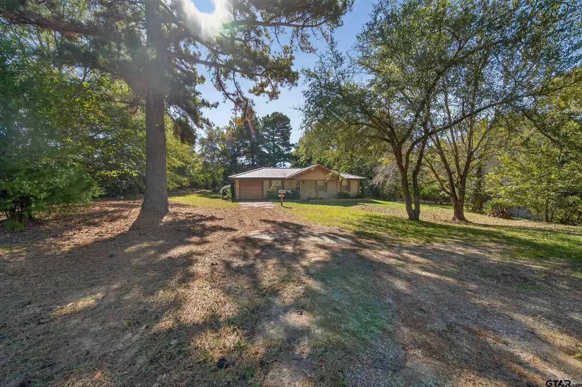 17036 & 17092 FM 317, Chandler, TX 75758 - #1