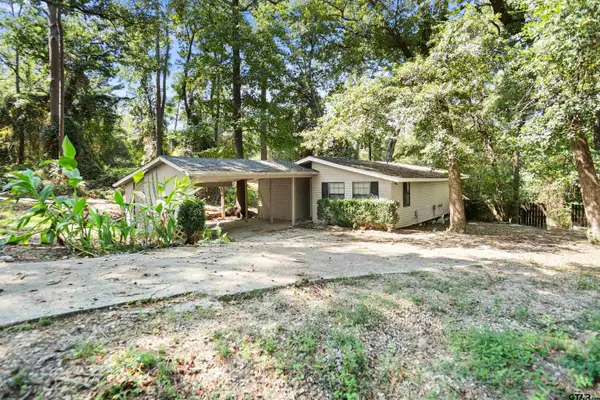 20954 Lakeview Drive, Flint, TX 75762