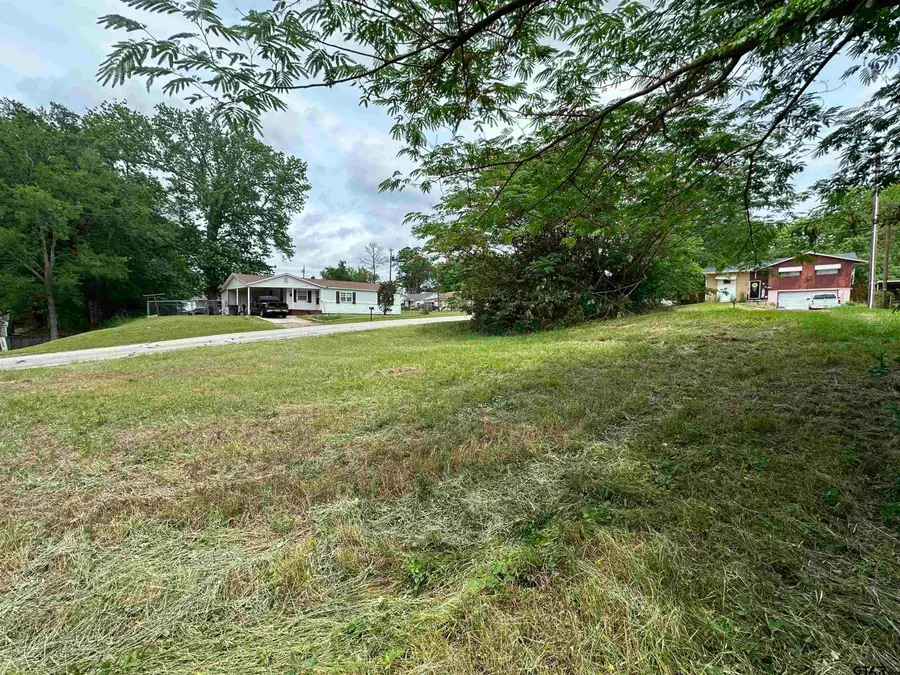 1610 N Hill, Tyler, TX 75702 - #3