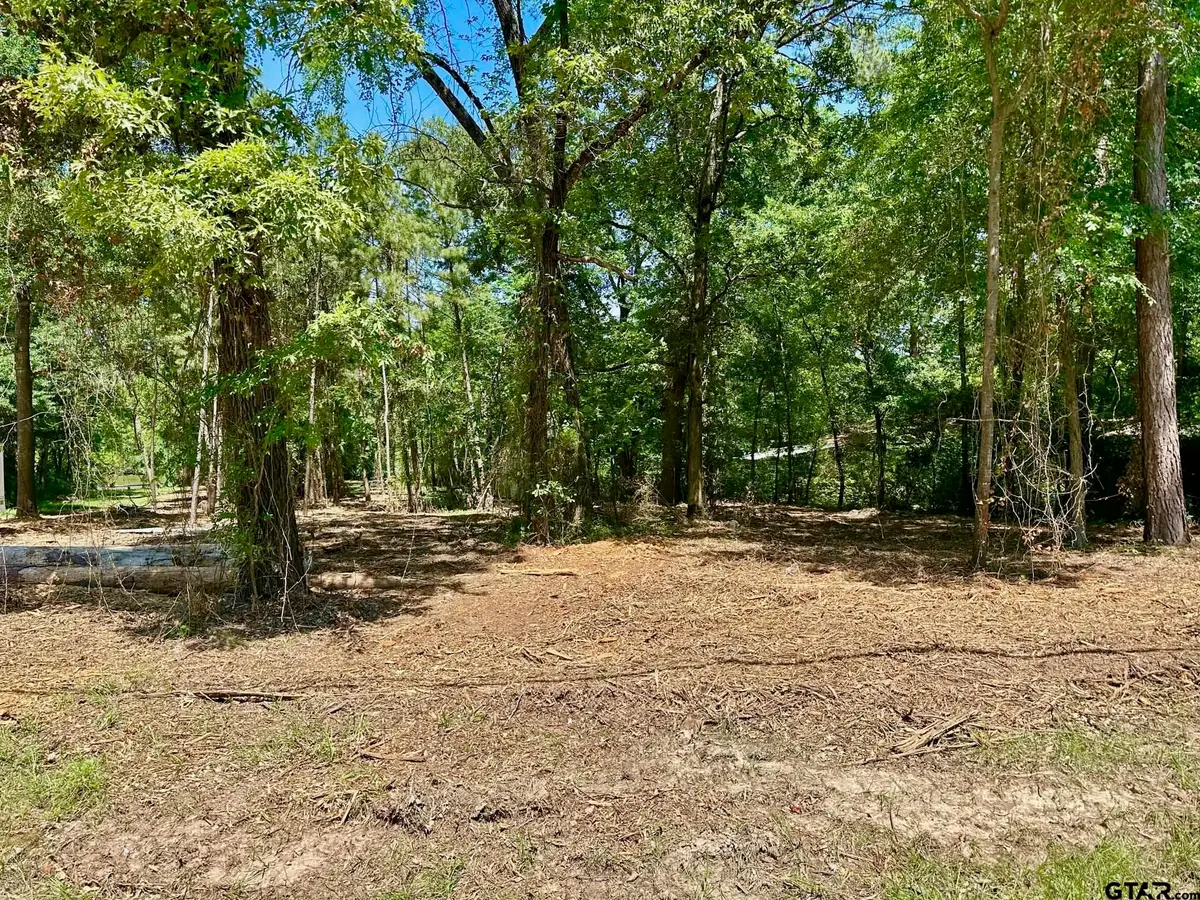 21041 Forest Grove Dr, Chandler, TX 75758 - #1