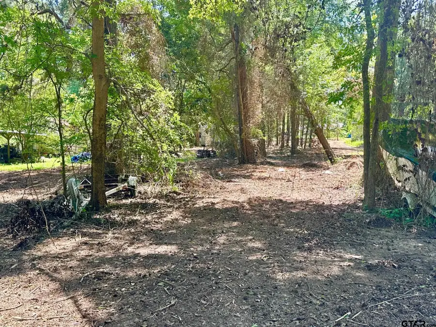 21041 Forest Grove Dr, Chandler, TX 75758 - #3