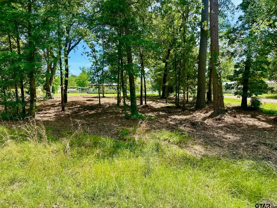 000 Lovely Ln, Chandler, TX 75758 - #3