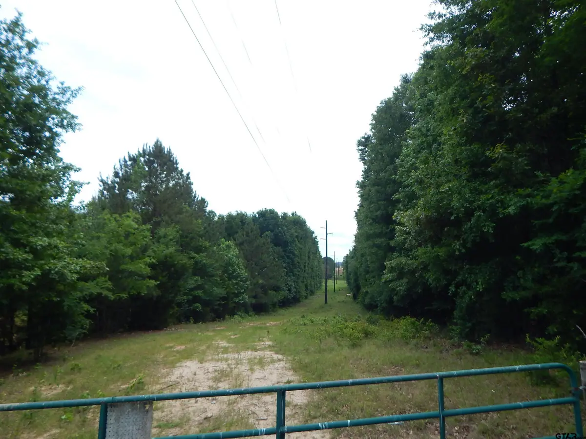 TBD 15 ACRES LOCUST RD, Gilmer, TX 75645 - #1