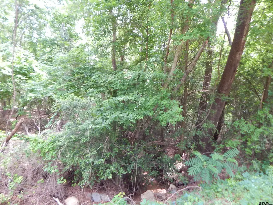 TBD 15 ACRES LOCUST RD, Gilmer, TX 75645 - #3