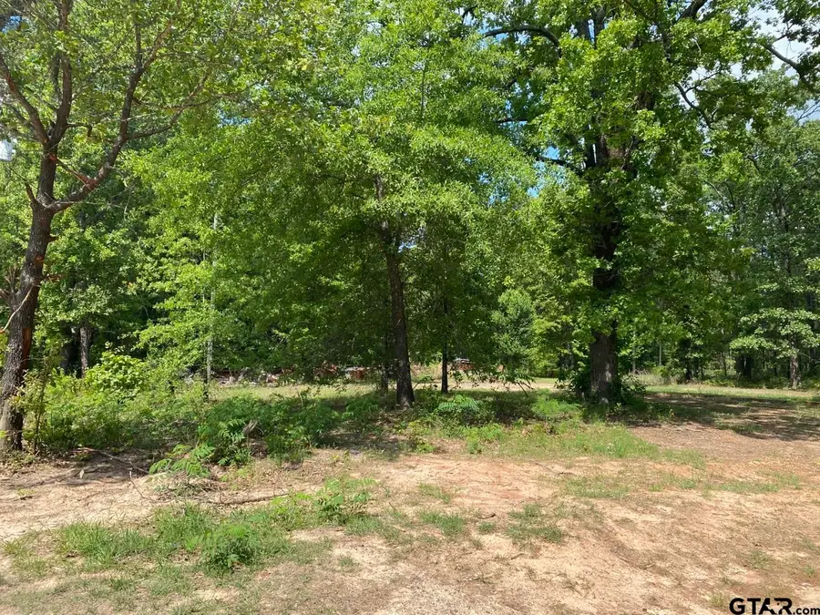 1011 CR 4112, Hughes Springs, TX 75656 - #2