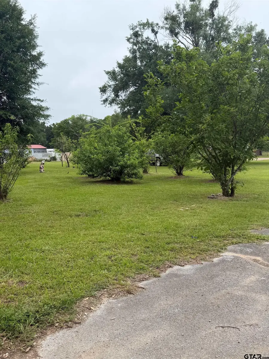 TBD Cutter Drive, Frankston, TX 75763 - #2