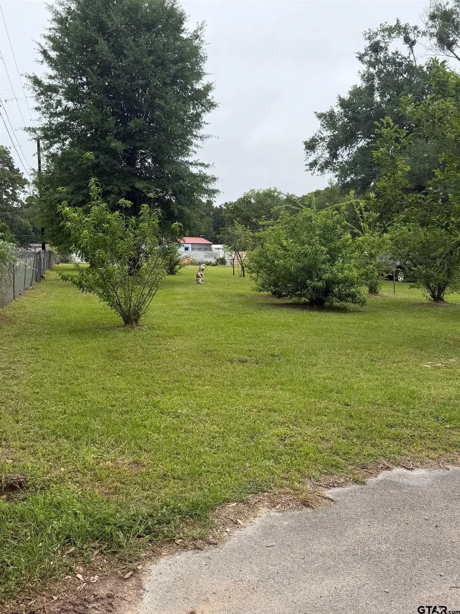 TBD Cutter Drive, Frankston, TX 75763 - #3
