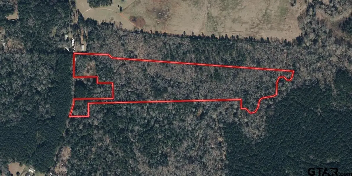 406 County Road 2115, Shelbyville, TX 75973 - #1
