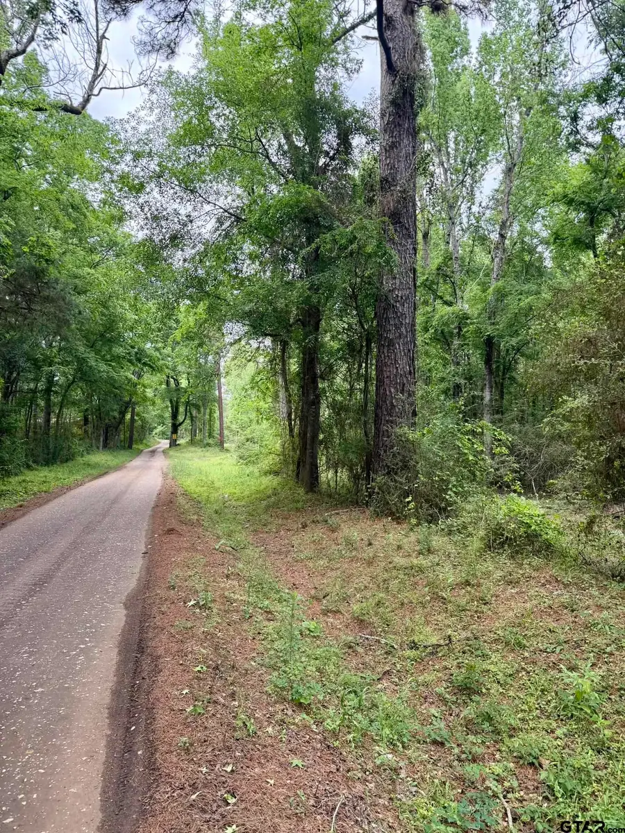 406 County Road 2115, Shelbyville, TX 75973 - #2