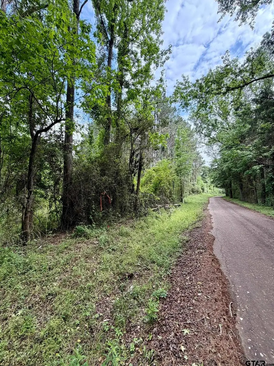 406 County Road 2115, Shelbyville, TX 75973 - #3