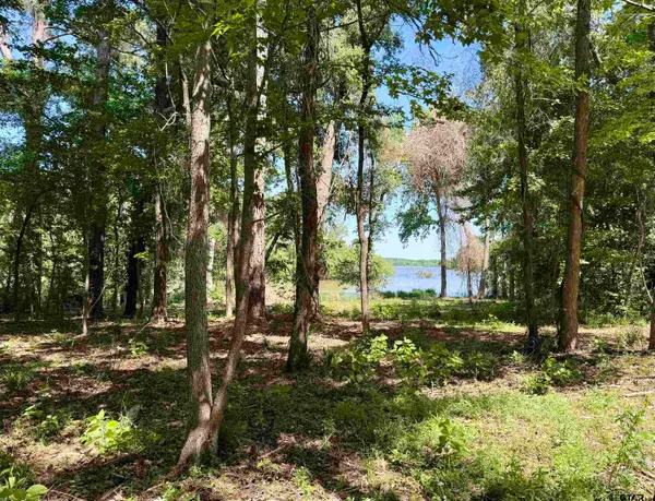 10162 CR 3202, Chandler, TX 75758