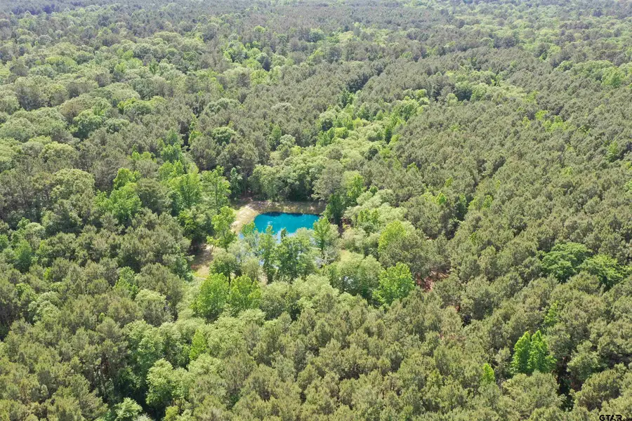 2175 AN COUNTY ROAD 353, Neches, TX 75779 - #2