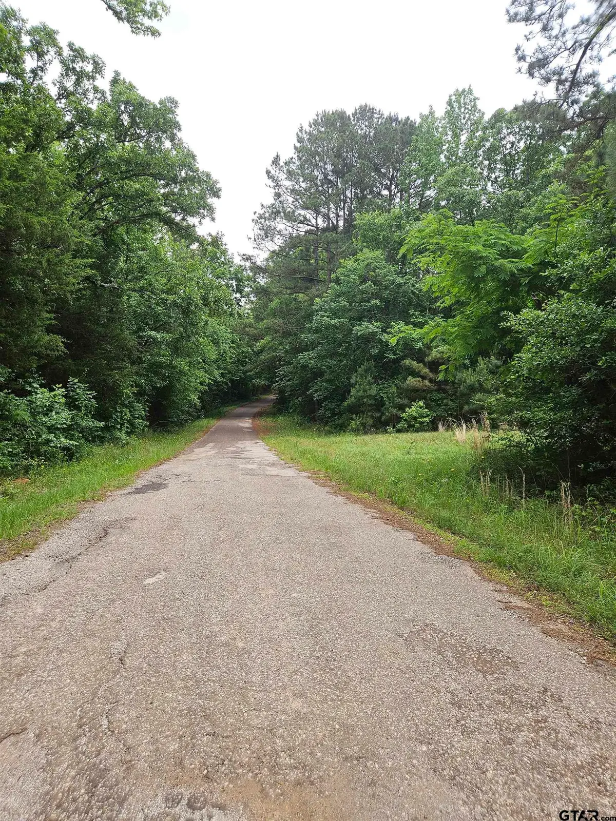 18095 CR 352, Winona, TX 75792 - #1