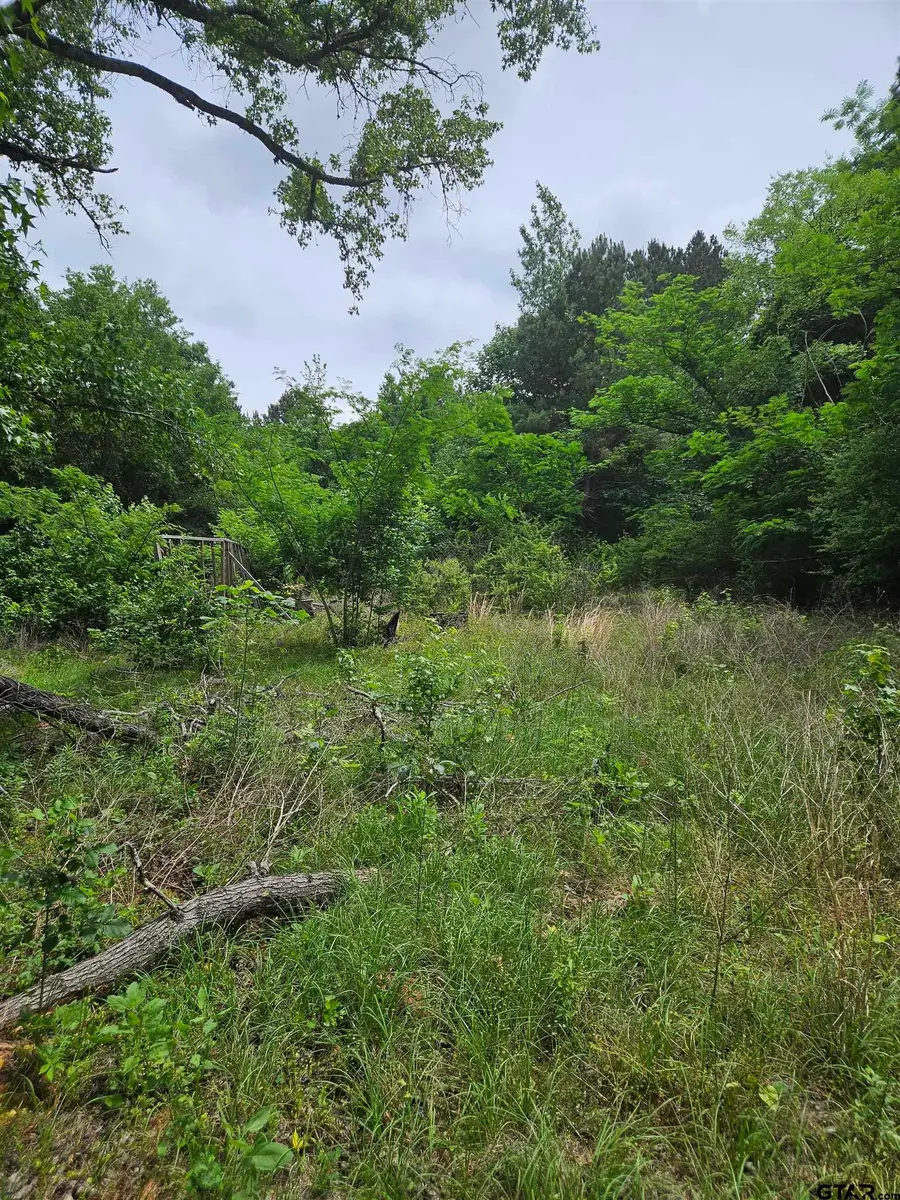 18095 CR 352, Winona, TX 75792 - #2