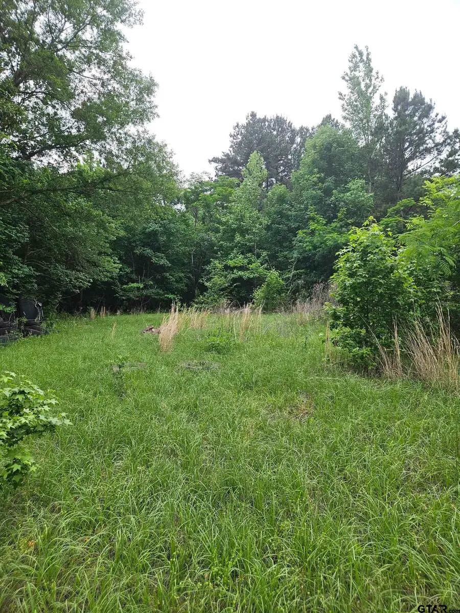 18095 CR 352, Winona, TX 75792 - #3