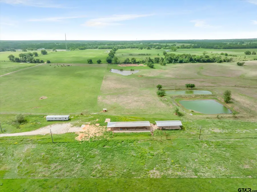 609 Vz County Road 1117, Grand Saline, TX 75140 - #3