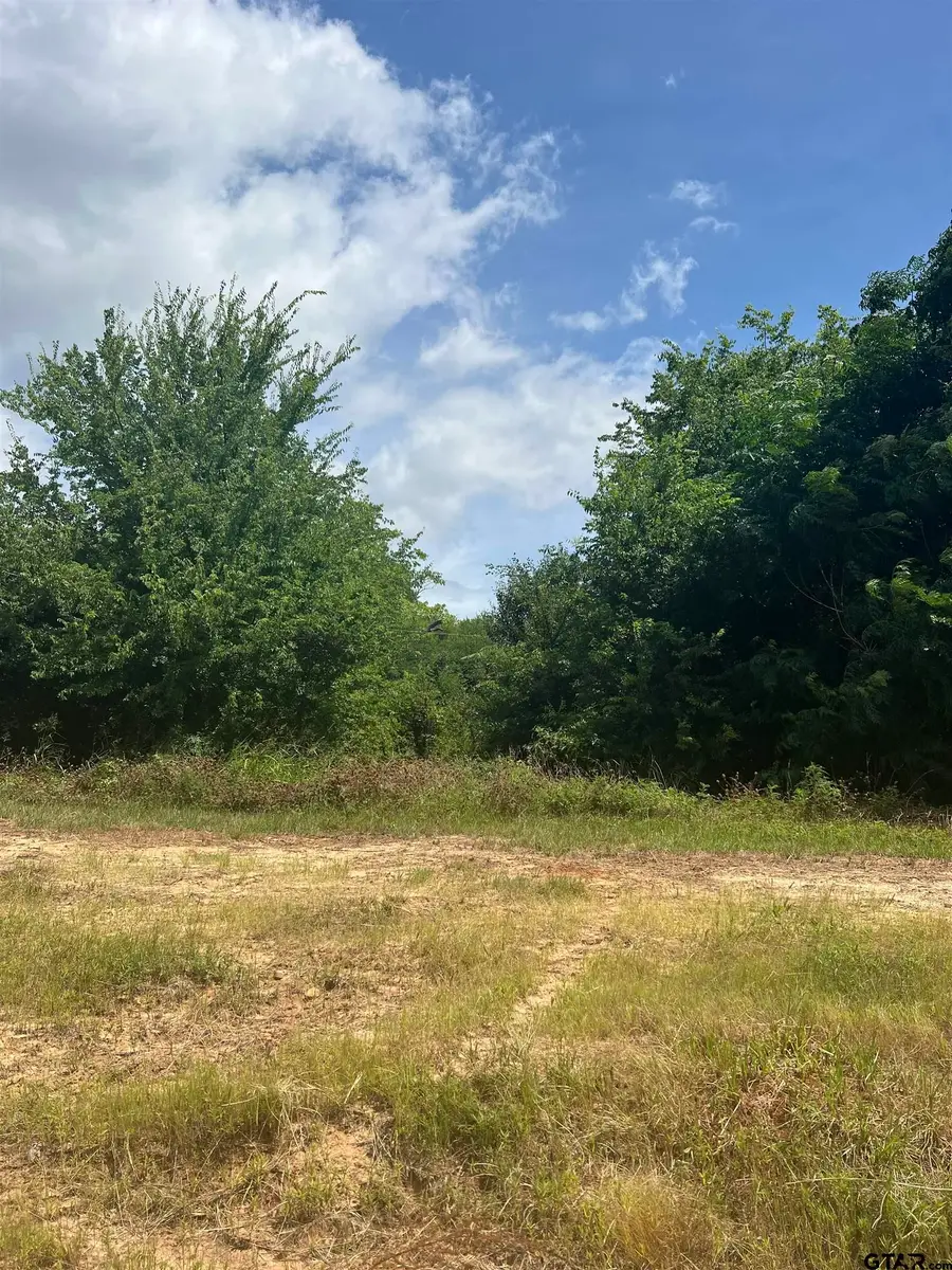 000 SH 64, Ben Wheeler, TX 75754 - #2