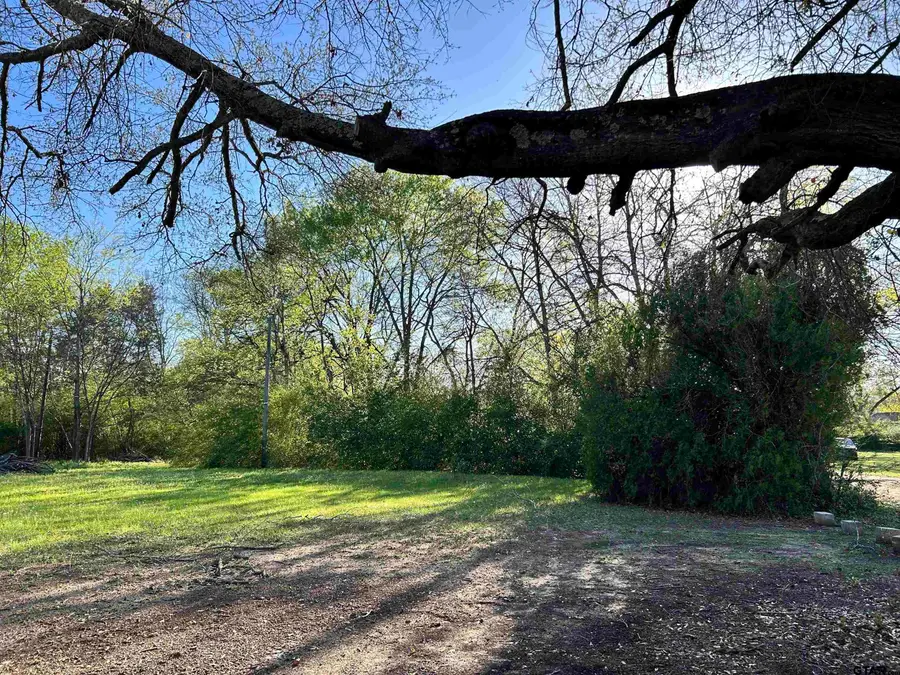 3108 Dudley Rd., Kilgore, TX 75662 - #3