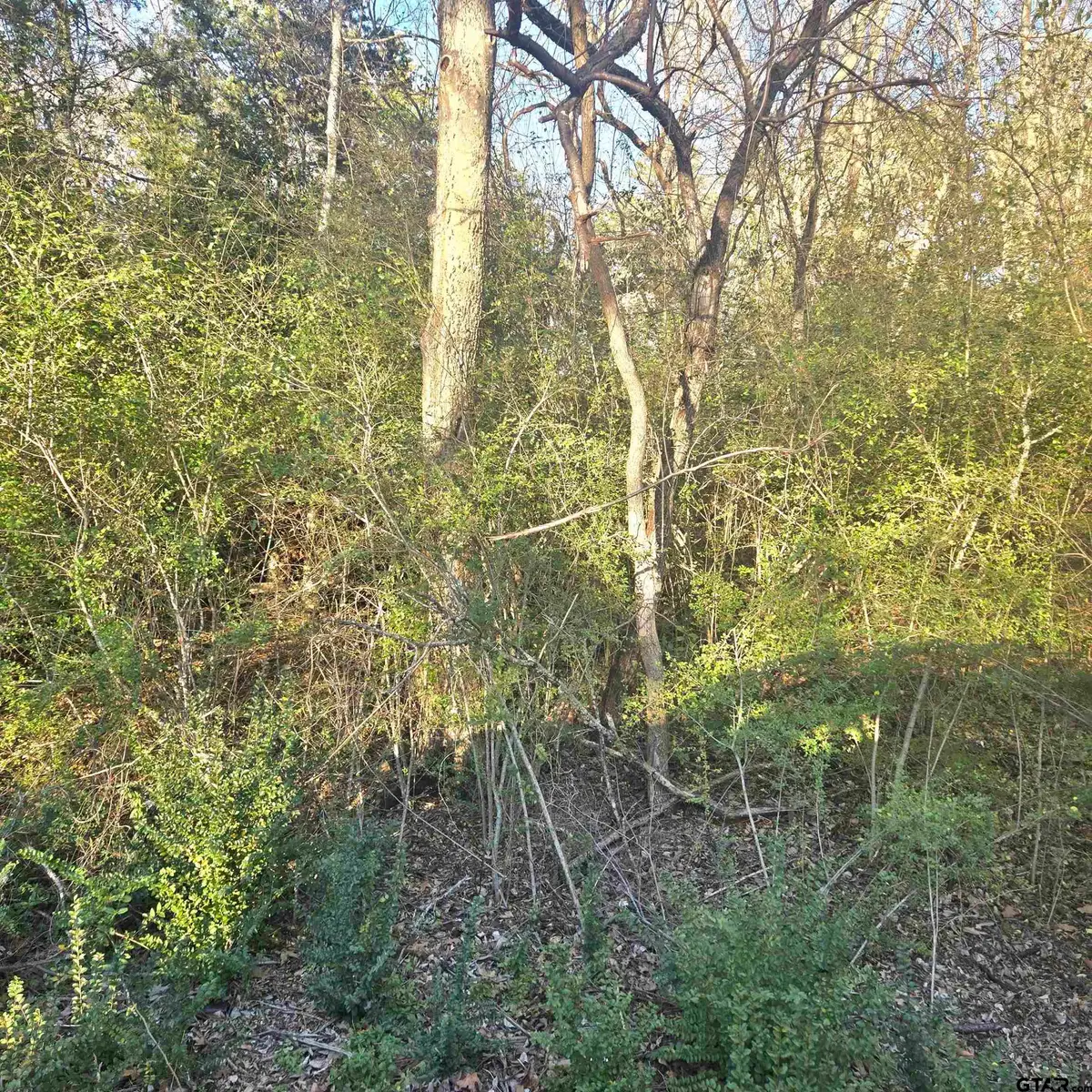TBP ROLLINGWOOD HILLS DR, Bullard, TX 75757 - #1