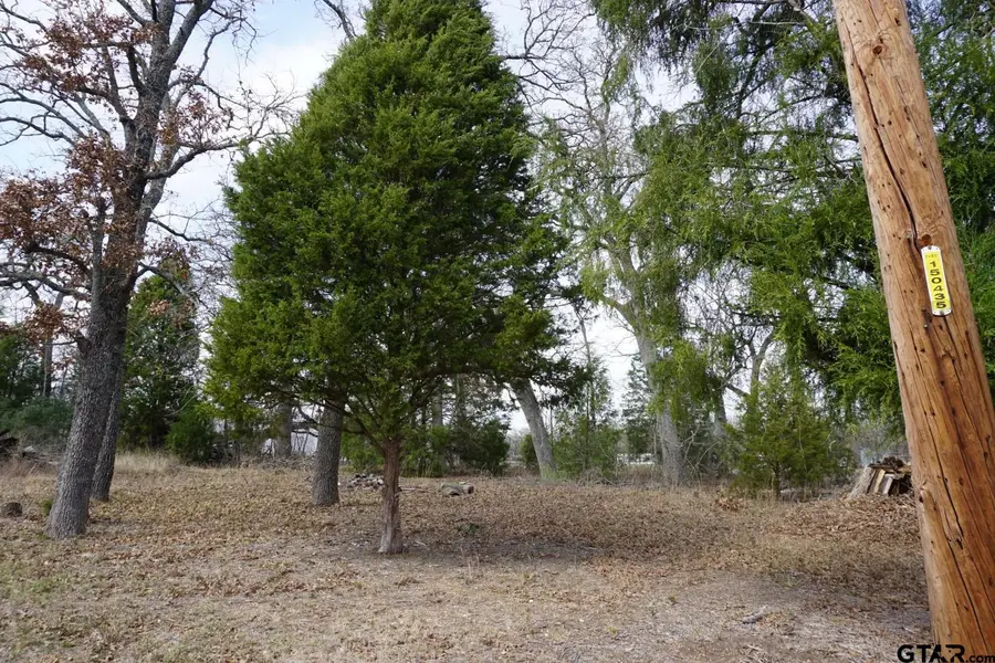 1698 Doc Holiday, Log Cabin, TX 75148 - #2