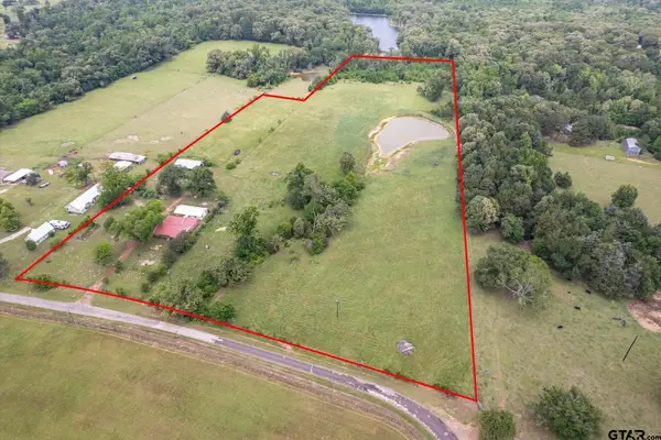881 VZ County Road 4605, Ben Wheeler, TX 75754
