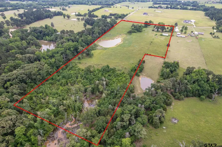 881 VZ County Road 4605, Ben Wheeler, TX 75754 - #2