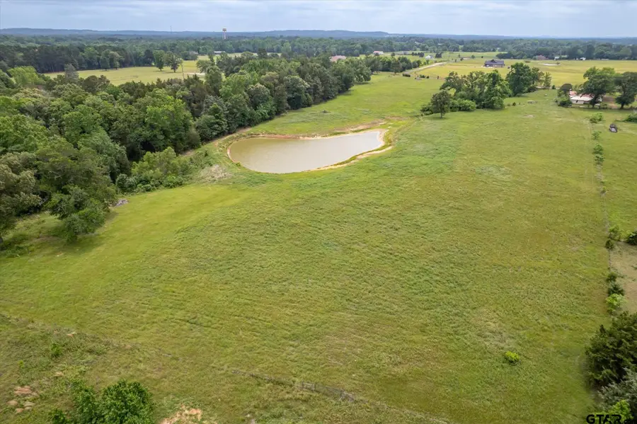 881 VZ County Road 4605, Ben Wheeler, TX 75754 - #3