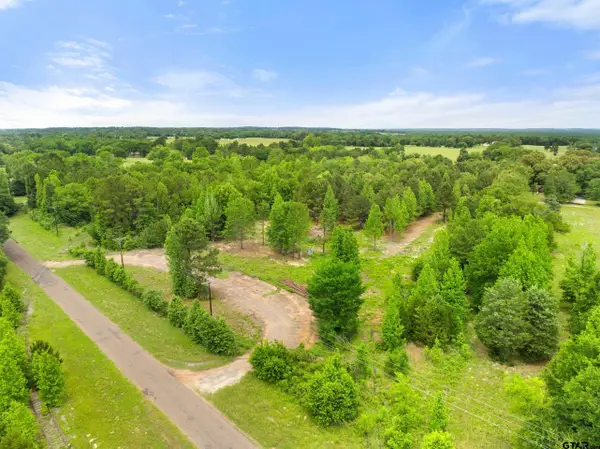 TBD County Road 2790, Mineola, TX 75773