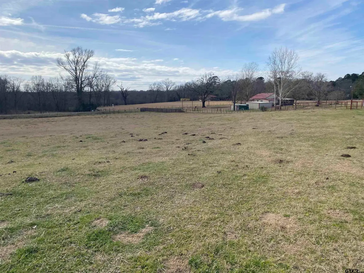 22479 Old Tyler Rd, Troup, TX 75789 - #1