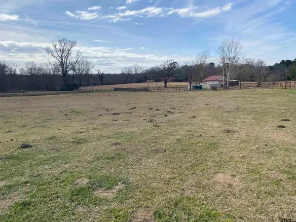 22479 Old Tyler Rd, Troup, TX 75789