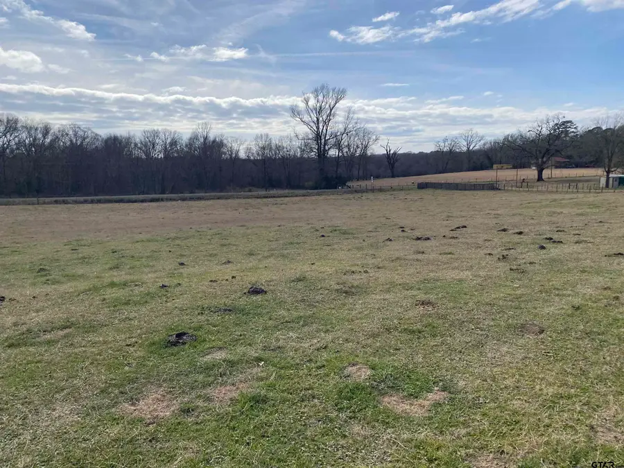 22479 Old Tyler Rd, Troup, TX 75789 - #2