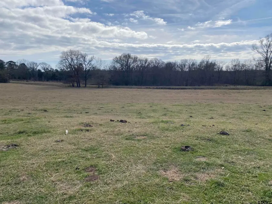 22479 Old Tyler Rd, Troup, TX 75789 - #3