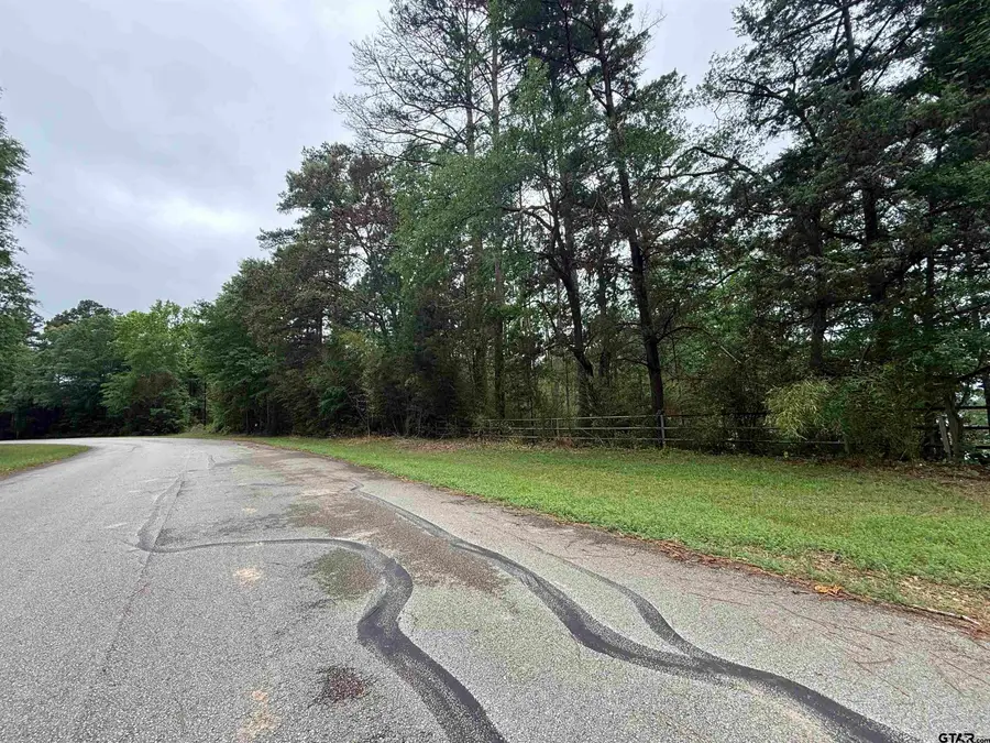 18706 Eastside Road, Troup, TX 75789 - #3