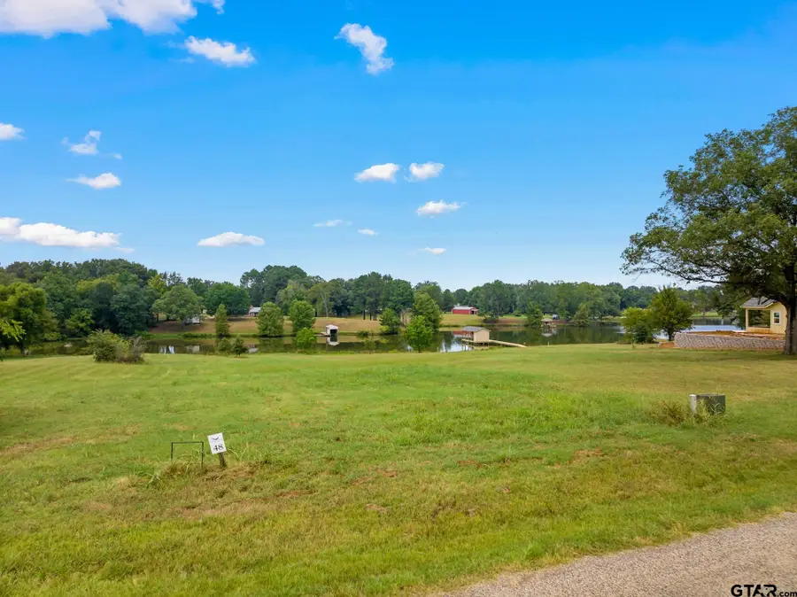 LOT 48 PR 52320, Pittsburg, TX 75686 - #3