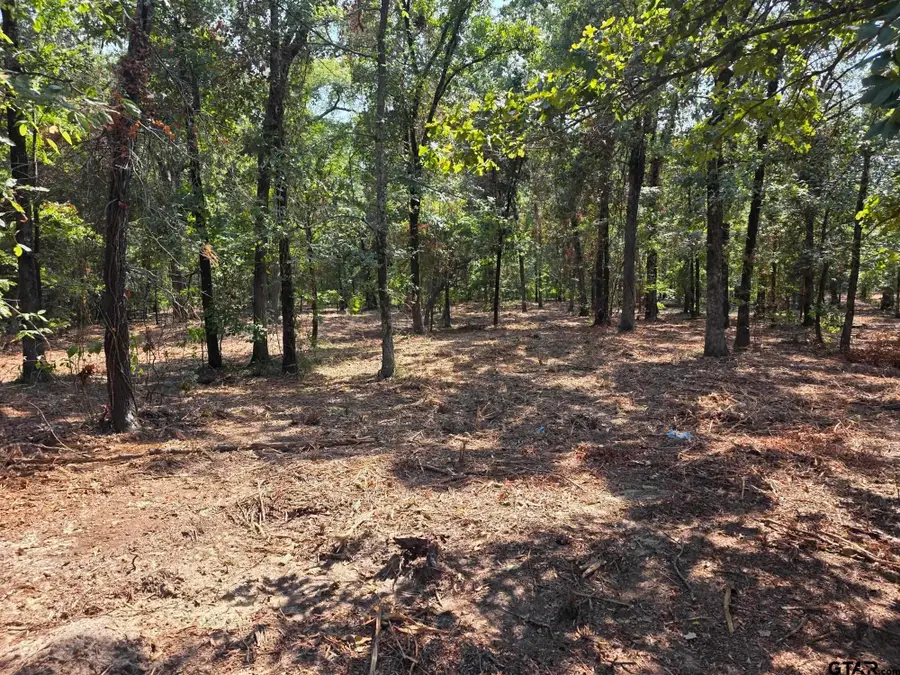 Lot 2 CR 2710, Mount Pleasant, TX 75455 - #3