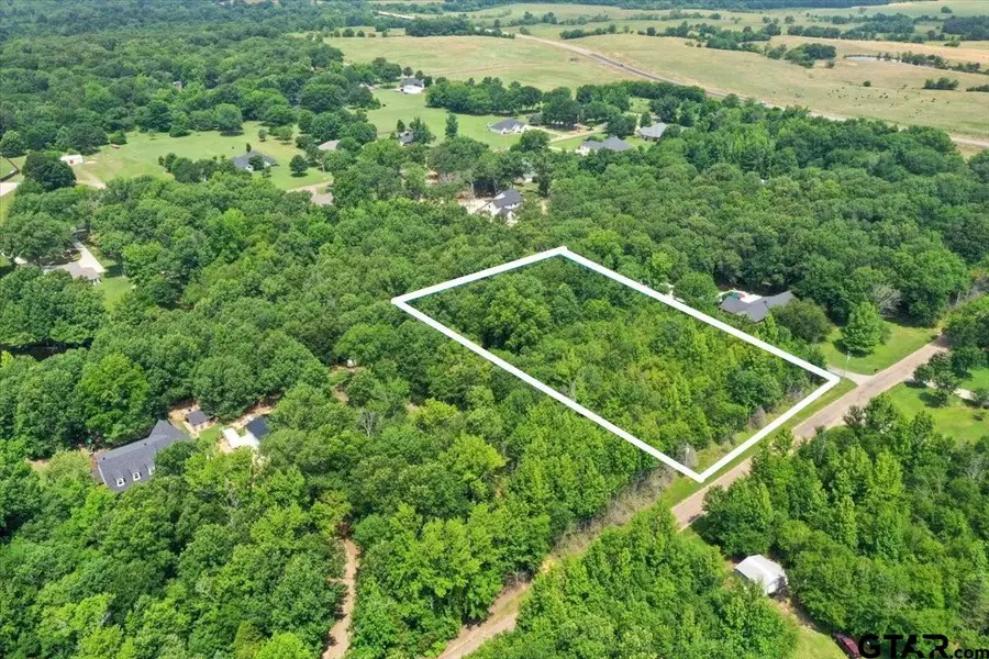TBD Cr 4425, Mount Pleasant, TX 75455 - #3