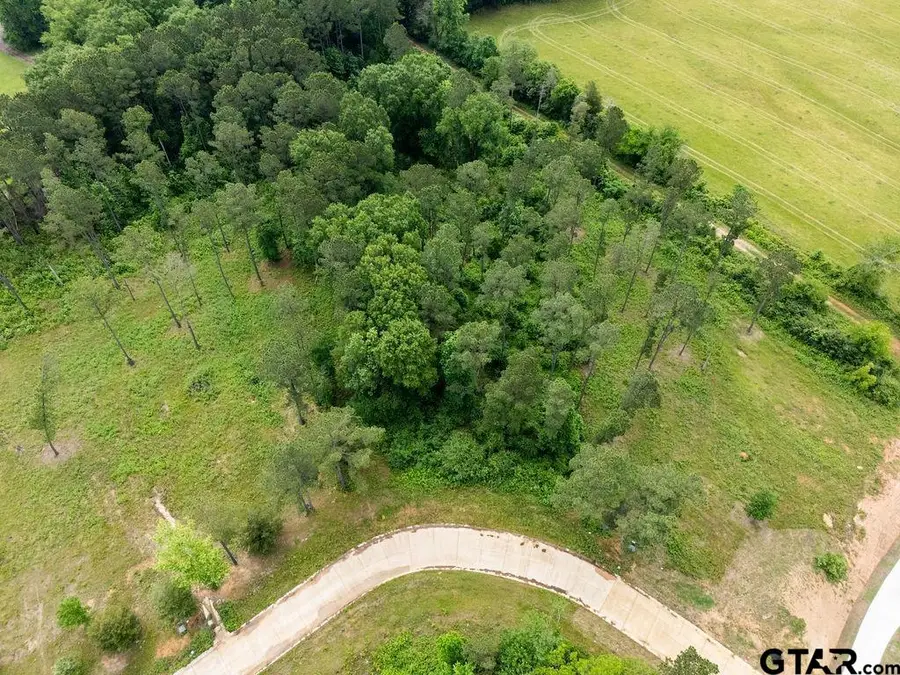 0000 Cottonwood Circle, Hallsville, TX 75650 - #2