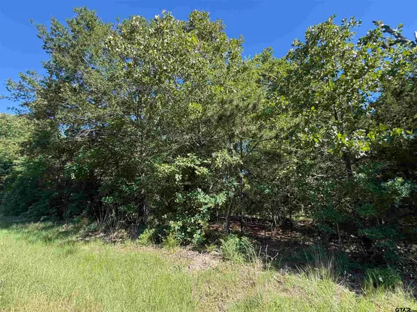 000 CR 457, Mineola, TX 75773