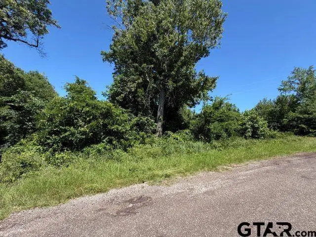 1153 CR 342, Henderson, TX 75654 - #1