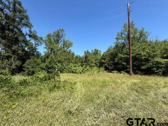 1153 CR 342, Henderson, TX 75654 - #2