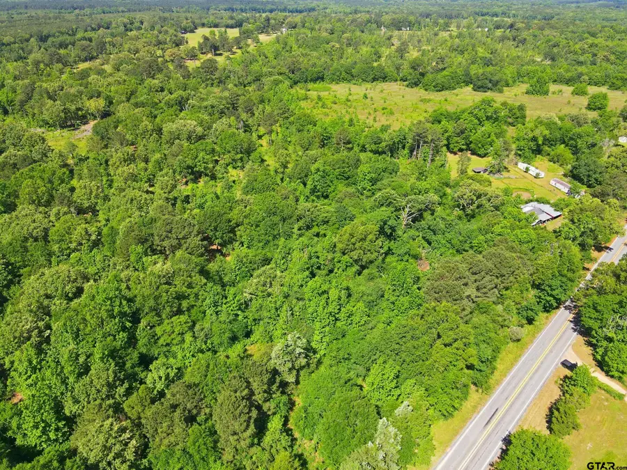TBD FM 993, Pittsburg, TX 75686 - #2