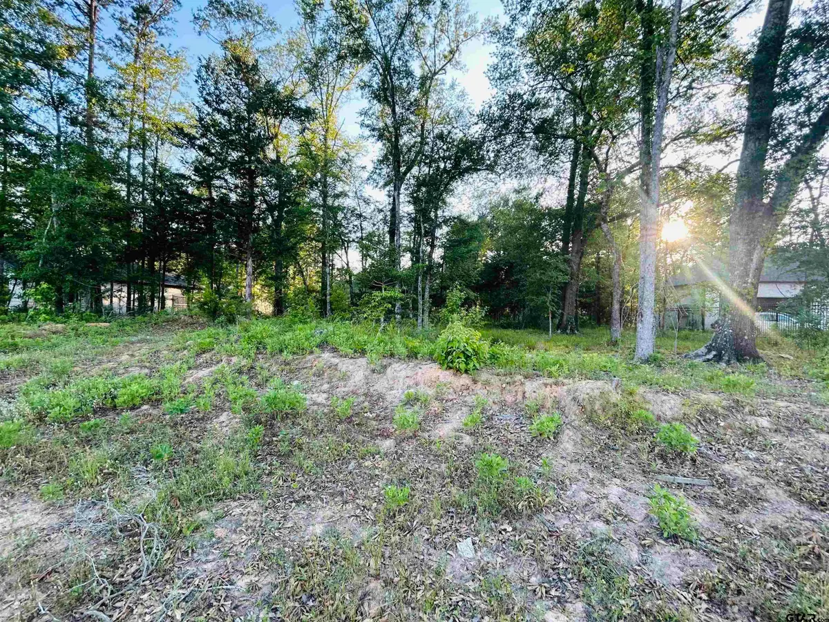 1868 Sentinel Way, Tyler, TX 75703 - #1