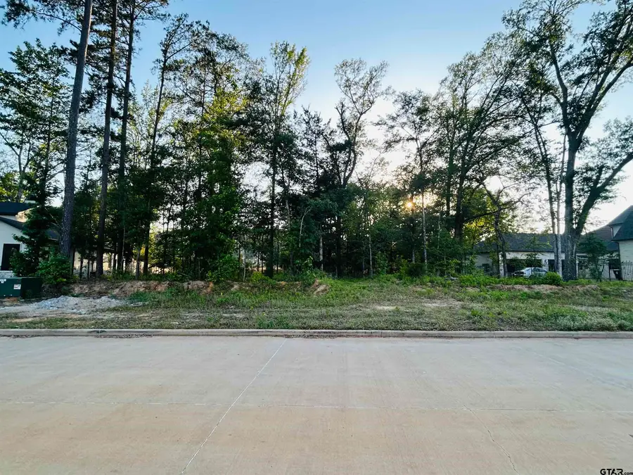 1868 Sentinel Way, Tyler, TX 75703 - #3